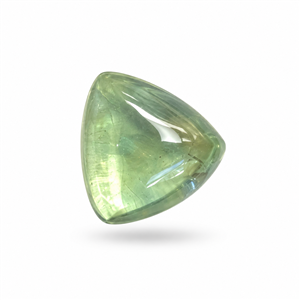 Stone BGSCAEP0941