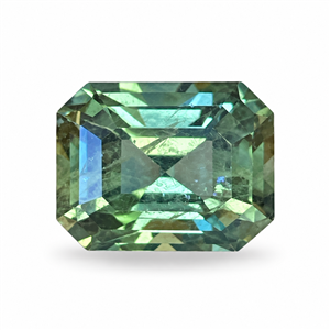Stone GSE1230
