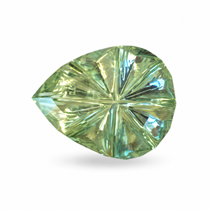 Stone GSPN1990
