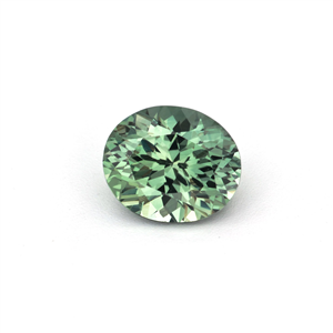 Stone GSVEP1110